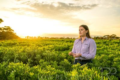 October 2022 / KANGAROO-FLAT-0117