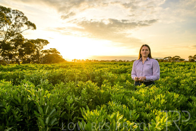 October 2022 / KANGAROO-FLAT-0119