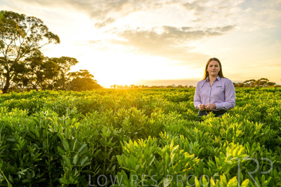 October 2022 / KANGAROO-FLAT-0123