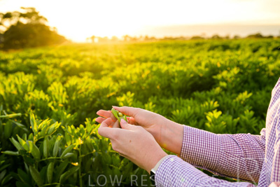 October 2022 / KANGAROO-FLAT-0125