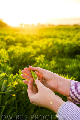 October 2022 / KANGAROO-FLAT-0127