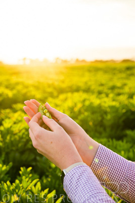 October 2022 / KANGAROO-FLAT-0135