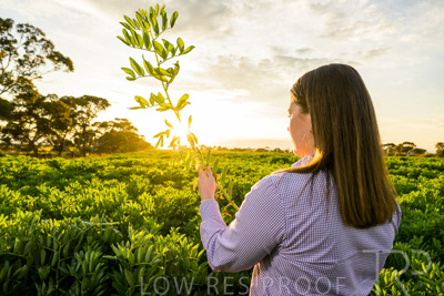 October 2022 / KANGAROO-FLAT-0139