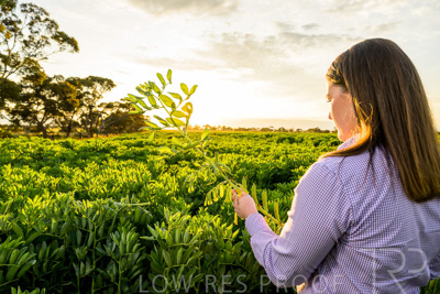 October 2022 / KANGAROO-FLAT-0141