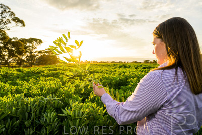 October 2022 / KANGAROO-FLAT-0143