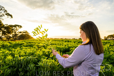 October 2022 / KANGAROO-FLAT-0145