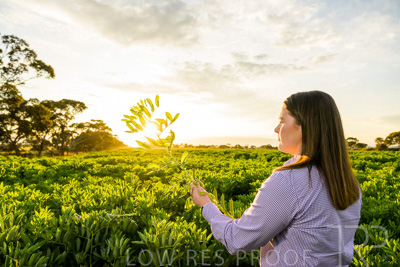 October 2022 / KANGAROO-FLAT-0148