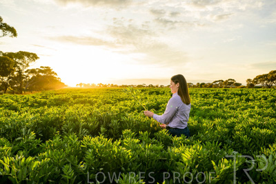 October 2022 / KANGAROO-FLAT-0158