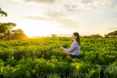 October 2022 / KANGAROO-FLAT-0159