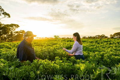 October 2022 / KANGAROO-FLAT-0161