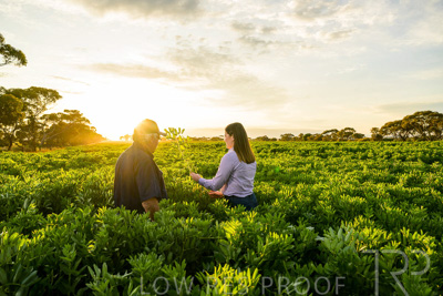 October 2022 / KANGAROO-FLAT-0165