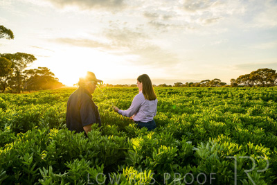 October 2022 / KANGAROO-FLAT-0166