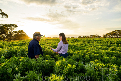 October 2022 / KANGAROO-FLAT-0167