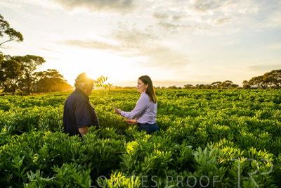 October 2022 / KANGAROO-FLAT-0168