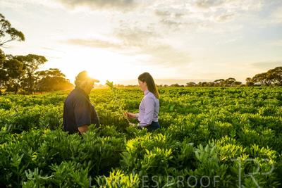 October 2022 / KANGAROO-FLAT-0169