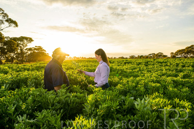 October 2022 / KANGAROO-FLAT-0170