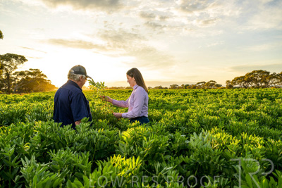 October 2022 / KANGAROO-FLAT-0174