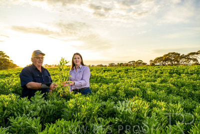 October 2022 / KANGAROO-FLAT-0180