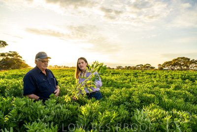 October 2022 / KANGAROO-FLAT-0181