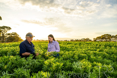 October 2022 / KANGAROO-FLAT-0184