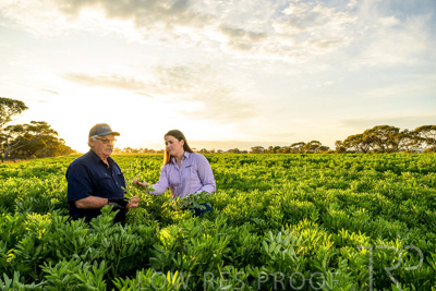 October 2022 / KANGAROO-FLAT-0185