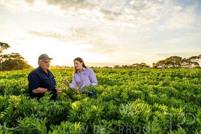 October 2022 / KANGAROO-FLAT-0186