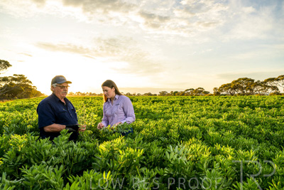 October 2022 / KANGAROO-FLAT-0187