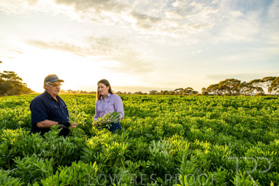 October 2022 / KANGAROO-FLAT-0188