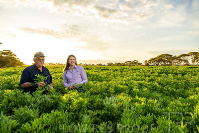 October 2022 / KANGAROO-FLAT-0191