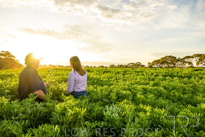 October 2022 / KANGAROO-FLAT-0192