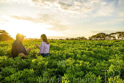 October 2022 / KANGAROO-FLAT-0194