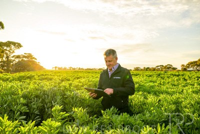 October 2022 / KANGAROO-FLAT-0198