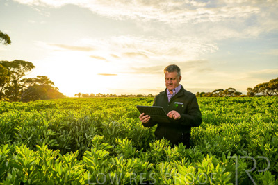 October 2022 / KANGAROO-FLAT-0199