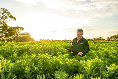 October 2022 / KANGAROO-FLAT-0208