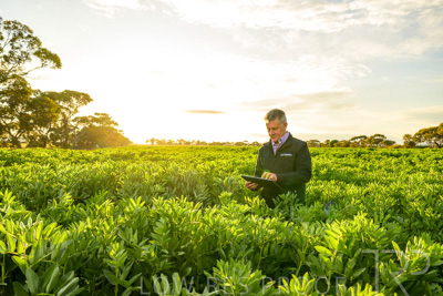 October 2022 / KANGAROO-FLAT-0210