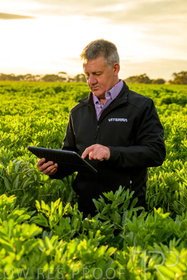 October 2022 / KANGAROO-FLAT-0212