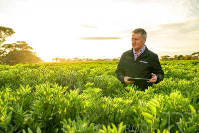 October 2022 / KANGAROO-FLAT-0214