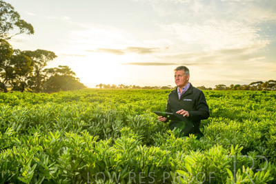 October 2022 / KANGAROO-FLAT-0215