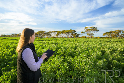 October 2022 / KANGAROO-FLAT-0228