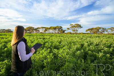 October 2022 / KANGAROO-FLAT-0230