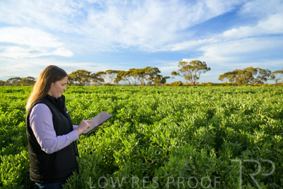 October 2022 / KANGAROO-FLAT-0234