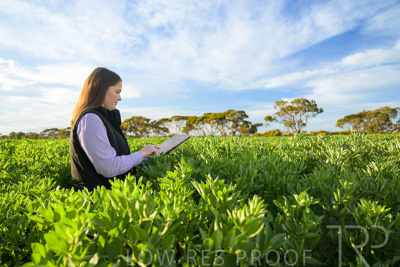 October 2022 / KANGAROO-FLAT-0236