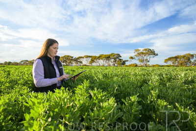 October 2022 / KANGAROO-FLAT-0237