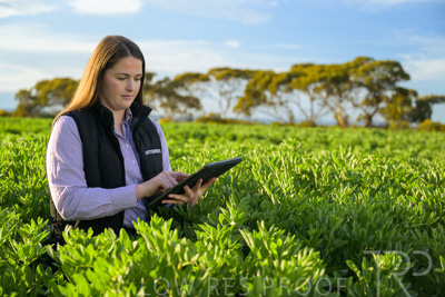 October 2022 / KANGAROO-FLAT-0241