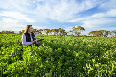 October 2022 / KANGAROO-FLAT-0242