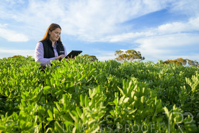 October 2022 / KANGAROO-FLAT-0250