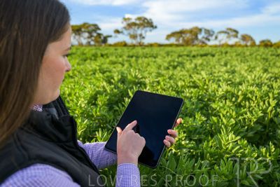 October 2022 / KANGAROO-FLAT-0253