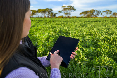 October 2022 / KANGAROO-FLAT-0255