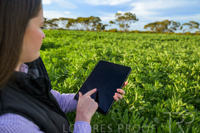 October 2022 / KANGAROO-FLAT-0256