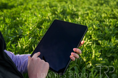 October 2022 / KANGAROO-FLAT-0258